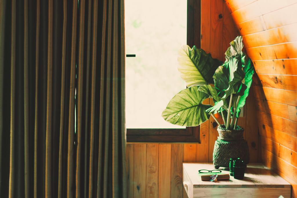 Chay Lap Farmstay Bo Trach 외부 사진