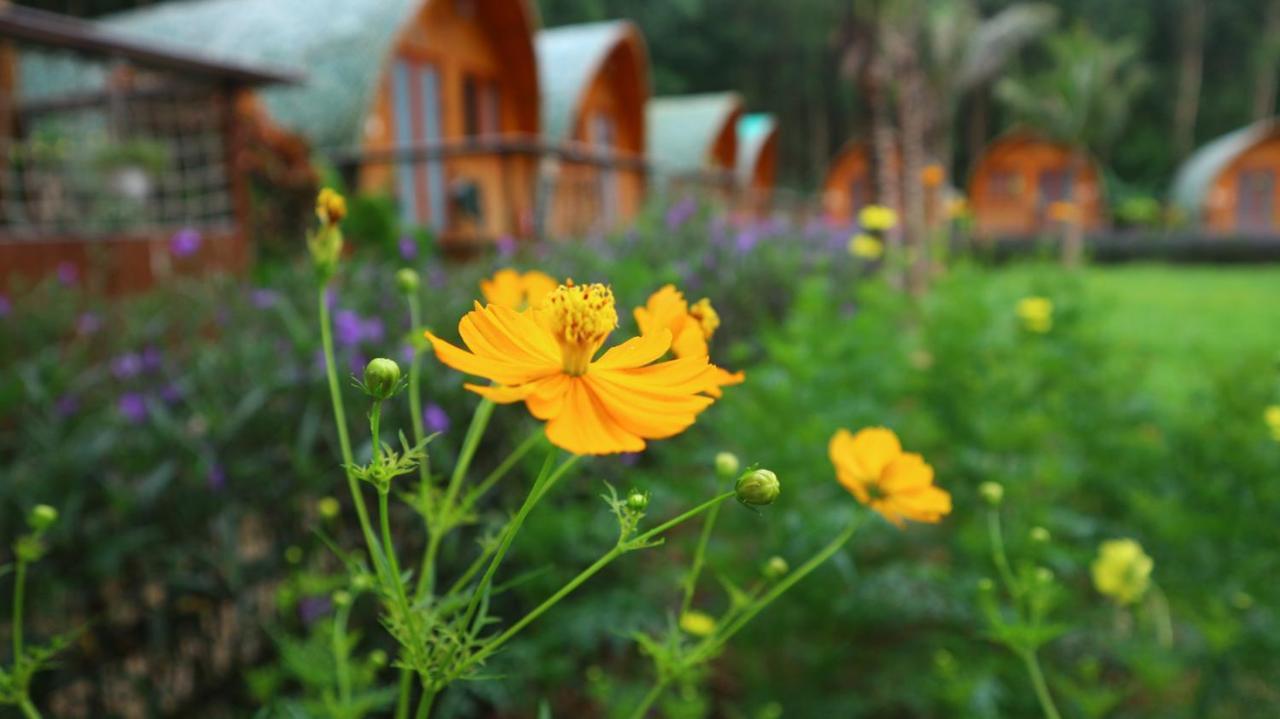 Chay Lap Farmstay Bo Trach 외부 사진